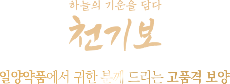 하늘의 기운을 담다  천기보